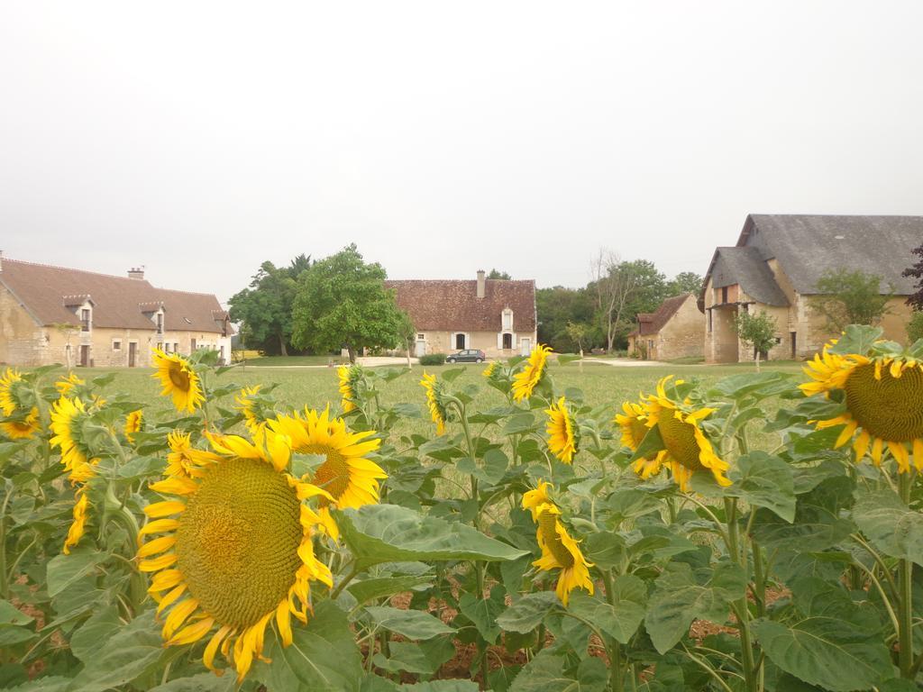 Sainte-Solange Gite Et Chambre D'Hotes Du Guillot מראה חיצוני תמונה